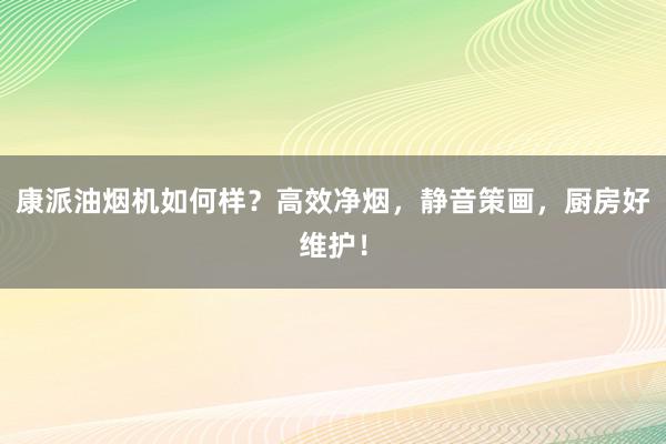 康派油烟机如何样？高效净烟，静音策画，厨房好维护！