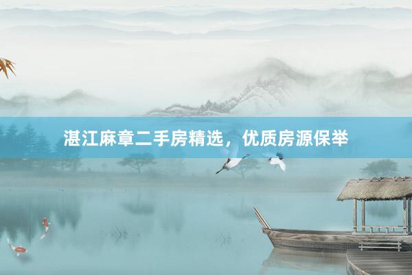 湛江麻章二手房精选，优质房源保举