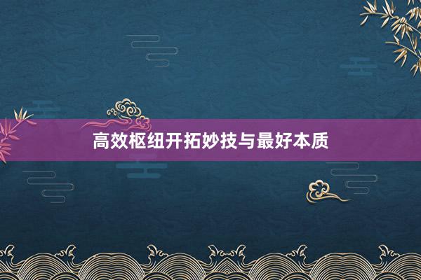 高效枢纽开拓妙技与最好本质