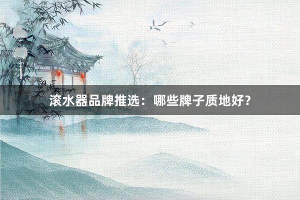 滚水器品牌推选：哪些牌子质地好？