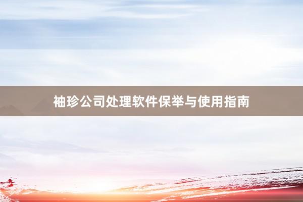 袖珍公司处理软件保举与使用指南